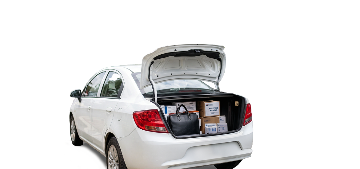 renting vehicular 2